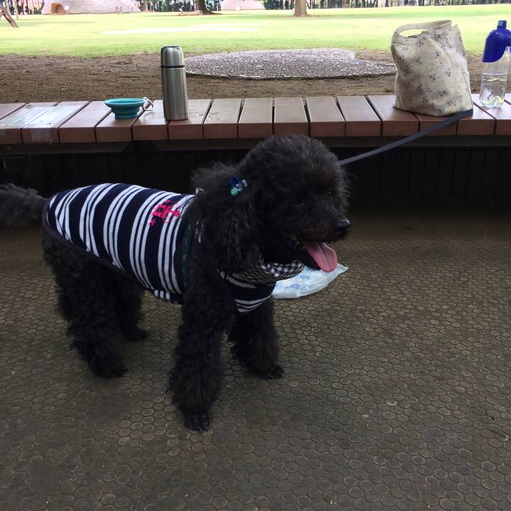 D7770e39 c5c1 464c 8402 9903352d6552