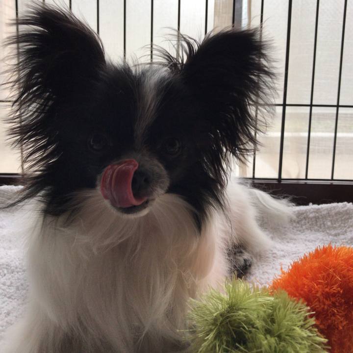 D7774e1f 12ba 4322 96db dc8122021569