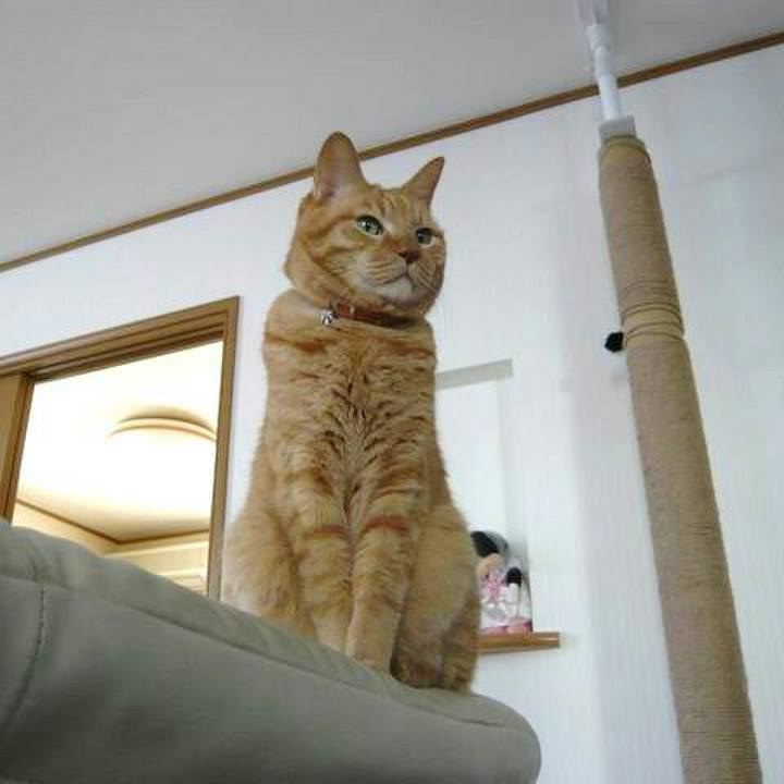 D77806ab 4df8 44d7 b437 10dc5016deeb