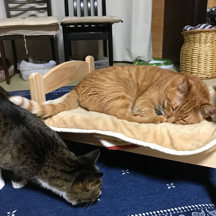 D7784aec 94c4 46ae a3b3 504a55800927