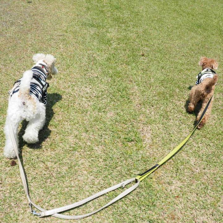 D778b3c3 3e79 4132 a07f 2f23a9148172