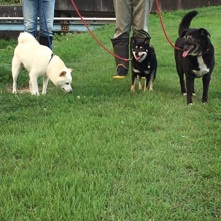 D778e581 c8ce 411b 962f 5b8d0e88f8e5