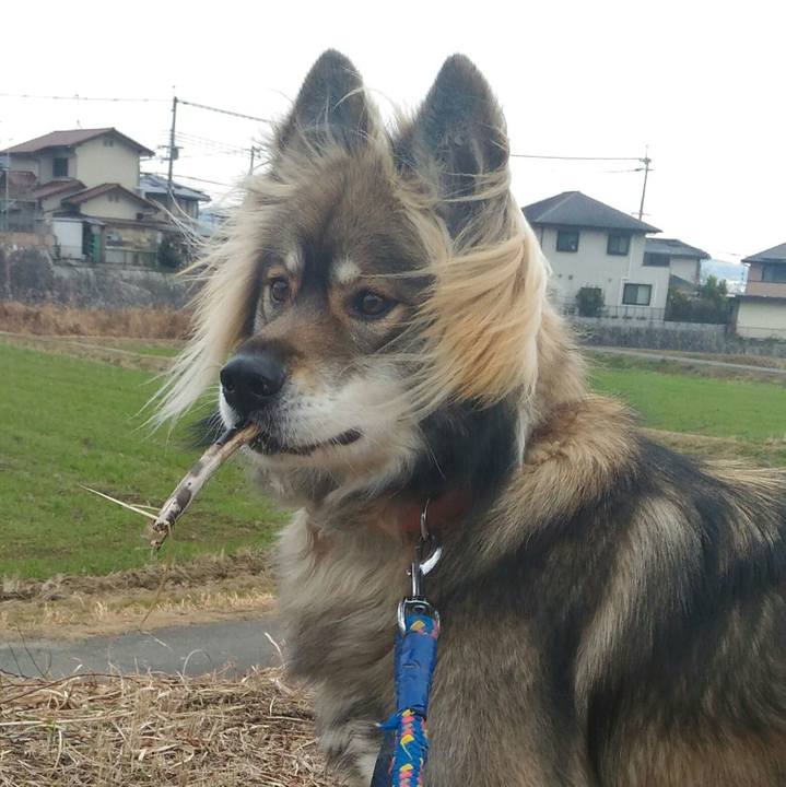 D779060f 6b51 4040 80ef 36e22e80baa7