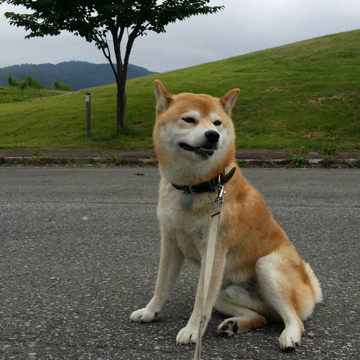 D77931f5 1628 48d8 a12c d09f88ddeff7