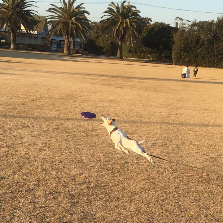 D779f550 bd15 4929 84d3 b0a34556c639