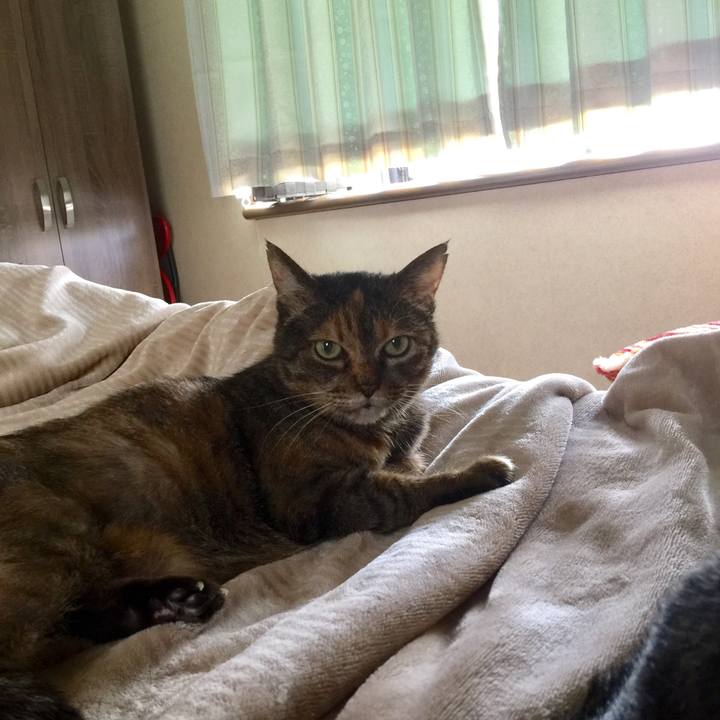 D77a04bc de33 4015 98ed 802f09132f7f