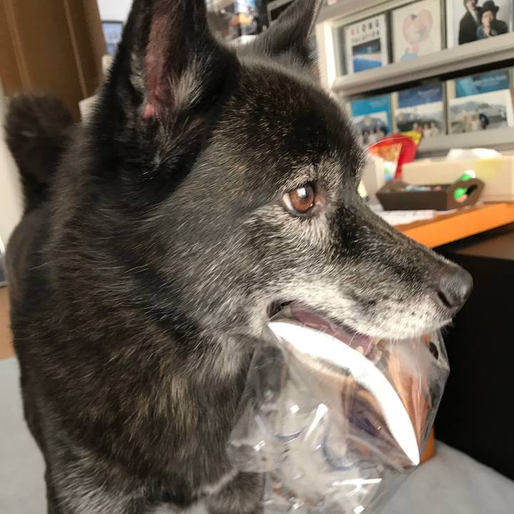 D77a3d87 6e49 4ca0 a5a4 fd5243b5b96c