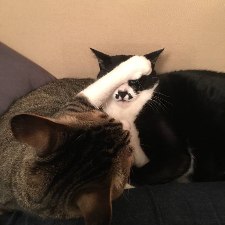 D77ac1ce fd72 49a5 9da7 de53035eb34d