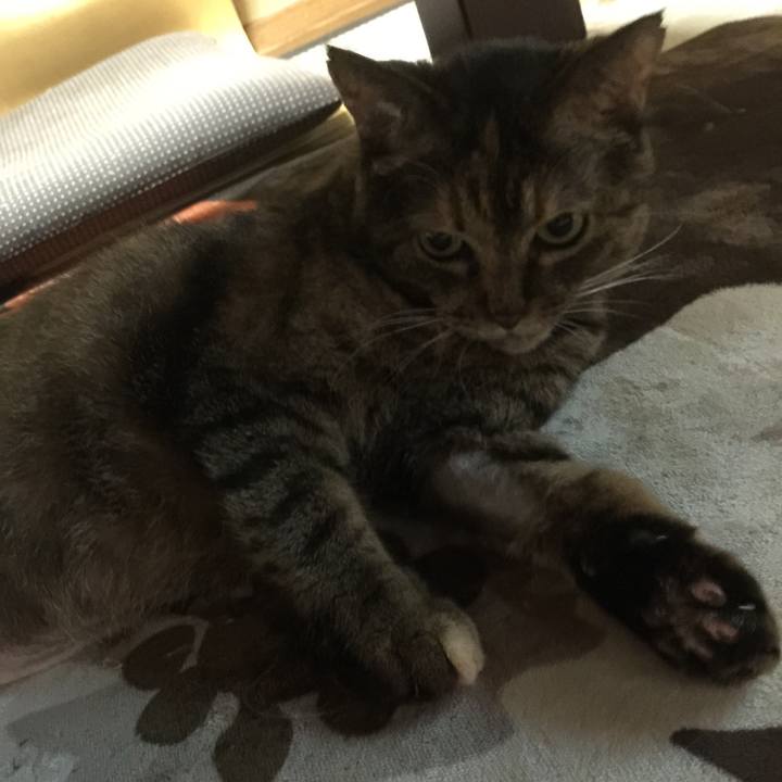 D77b27c2 014e 4542 a0ef 1436baa010e6