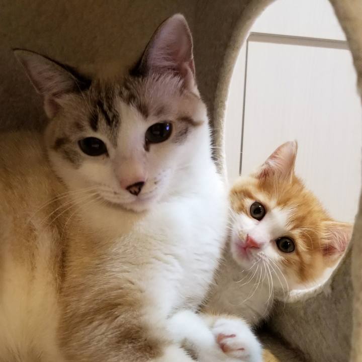 D77b5024 db25 4a2d bf67 5f496ba733d0