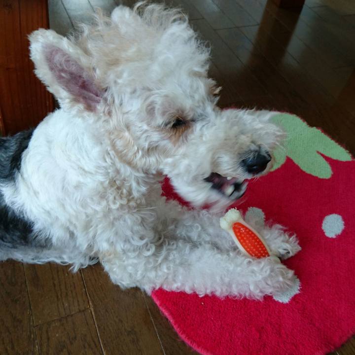 D77c587f e858 4c49 a261 12a3b6439176