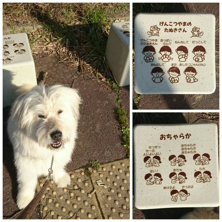 D77c5c0b fae1 4713 bc8d b6fbcf835164