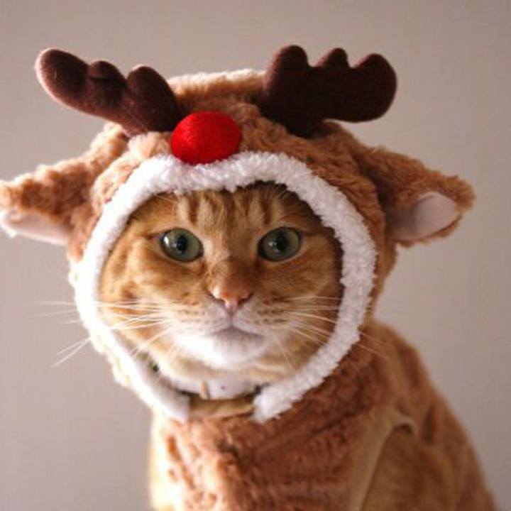 D77c5c69 c0cd 4574 af68 c0aecea35fec