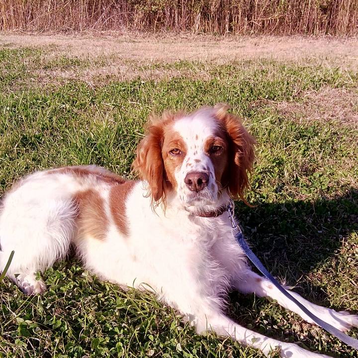 D77d2c04 4a51 4402 ab7e cf370a8ac48a