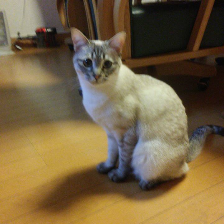 D77d34b5 ec1c 4c01 8254 7a474c14af59