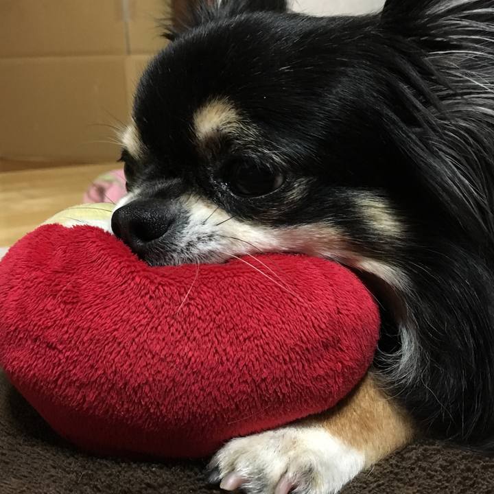 D77d996e f2cd 4abe bebd 3e0f00df915c