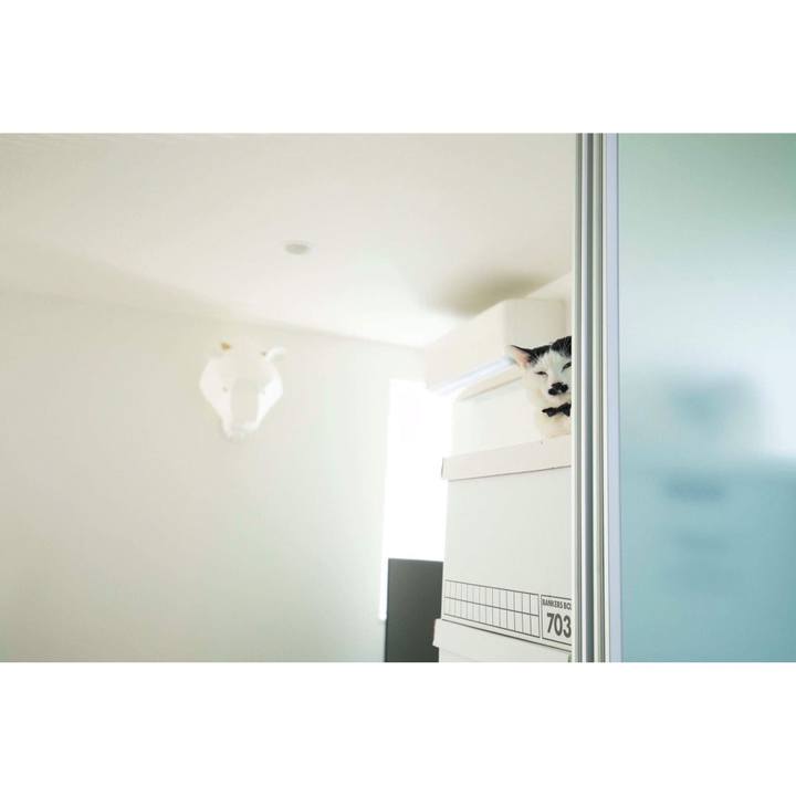 D77e184f df0f 4ffe 91cf f2fcd6702c44