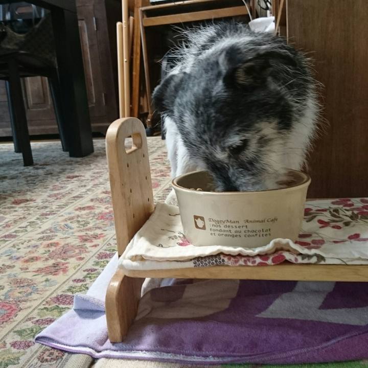 D77e2178 c1ee 40d2 9173 17c719c57e66