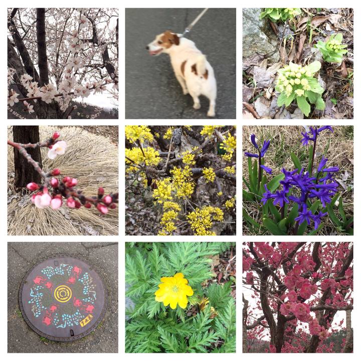 D77ecc90 a11b 40e3 8441 ca2ffb7fc5fa