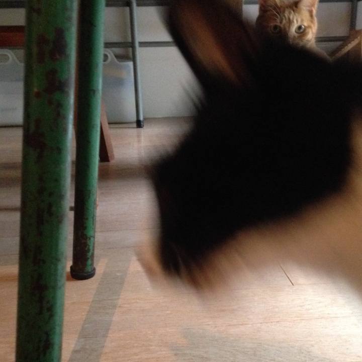 D77f49c2 fedb 4281 85af 37c1a4c5164b