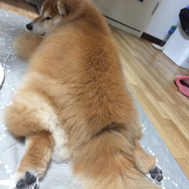 D77fd4d8 d3a0 4137 944e 4b9575f61362