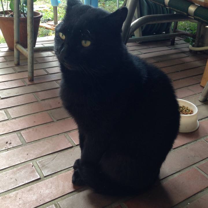 D77fddb9 fb70 4099 9128 aeda705fddb6