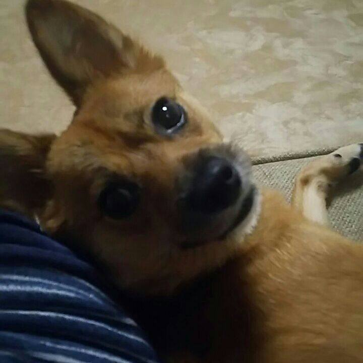 D7802e35 3e31 46e0 8c14 b714a846593a