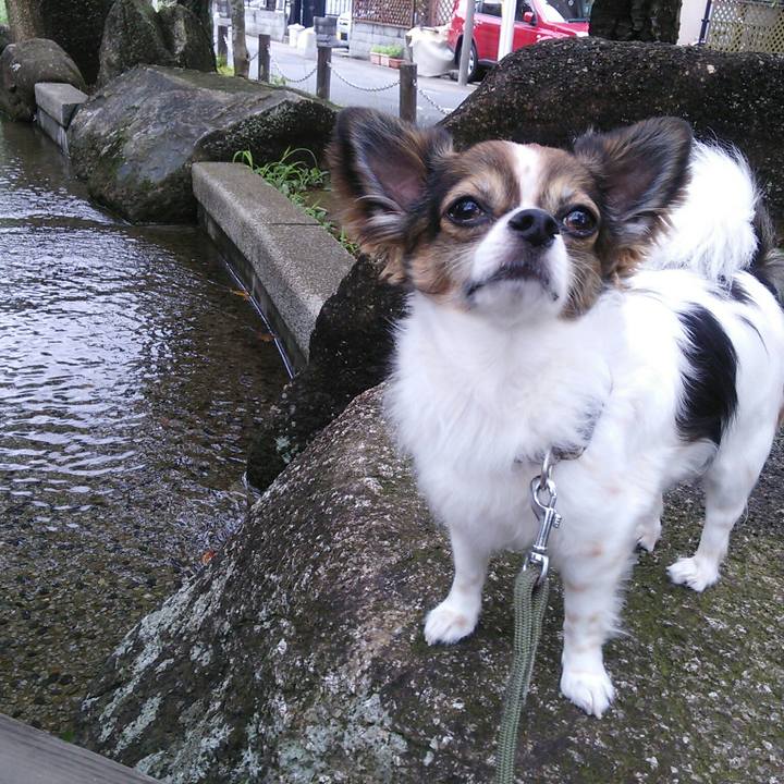 D78090bd 14e2 4e77 b073 850d32ffb622