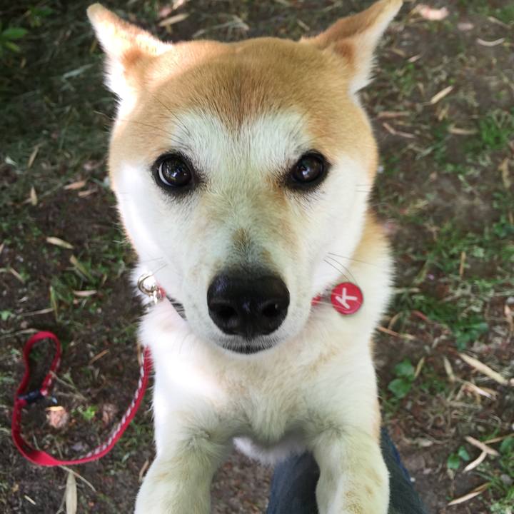 D780f0ba 0478 473f bf11 1f2cf3b37408