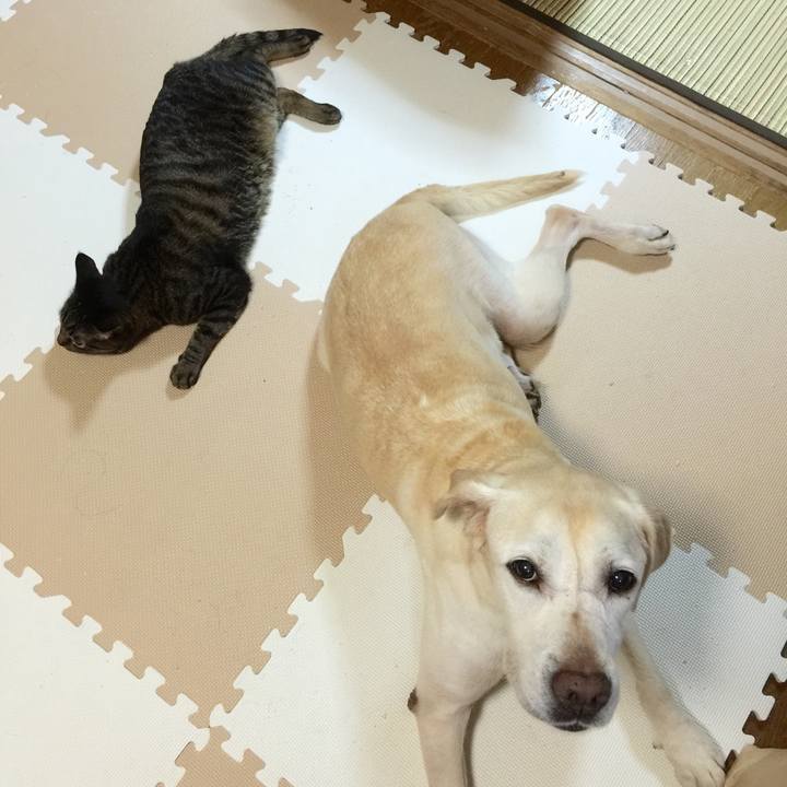 D780f8e3 c645 42a9 9a41 54138e738043