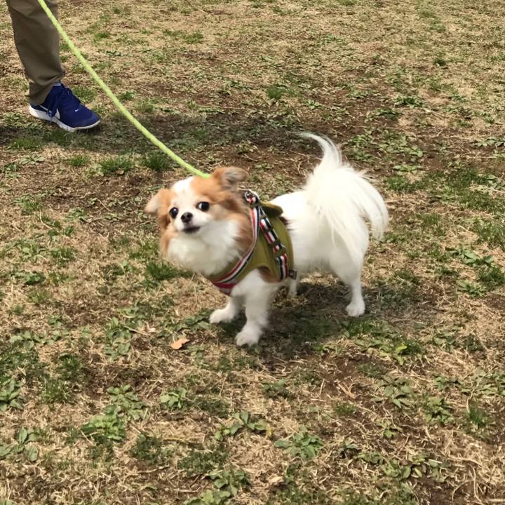 D7811115 9912 4366 b5a4 24d183619e9b