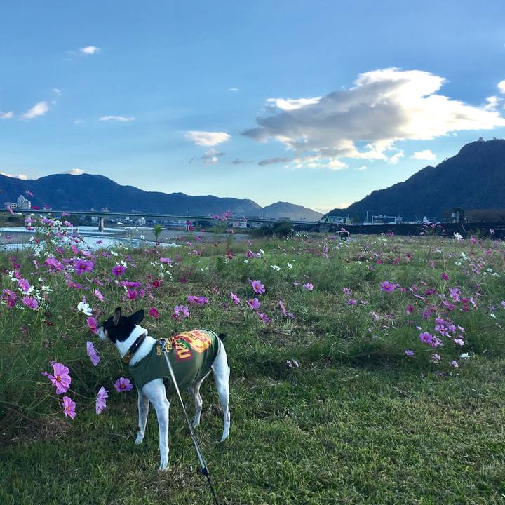 D781ff22 858d 4850 adcf d78a9d890a1e