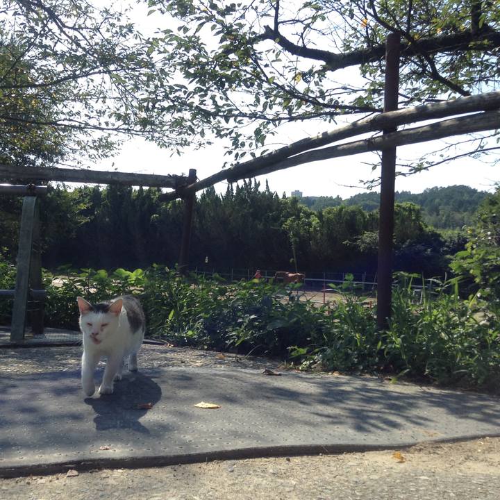 D7833941 755b 4103 9e8a 9f5cf69d1890