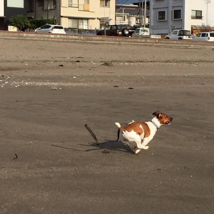 D78355d7 2a4c 4ebc 909b a809c95561b3