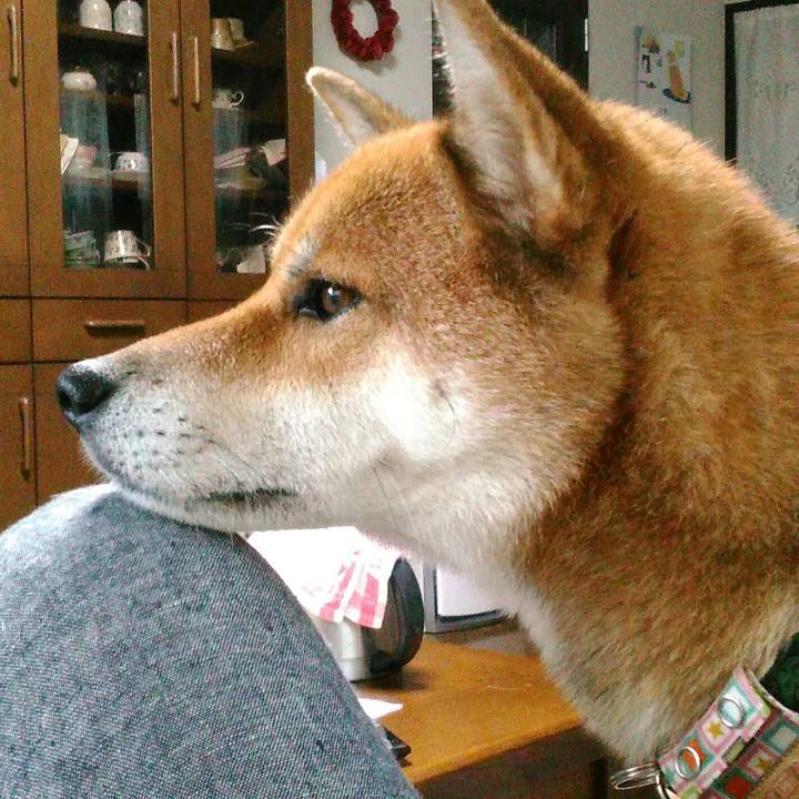 D7835704 8662 429a 80c8 766ec66bda68