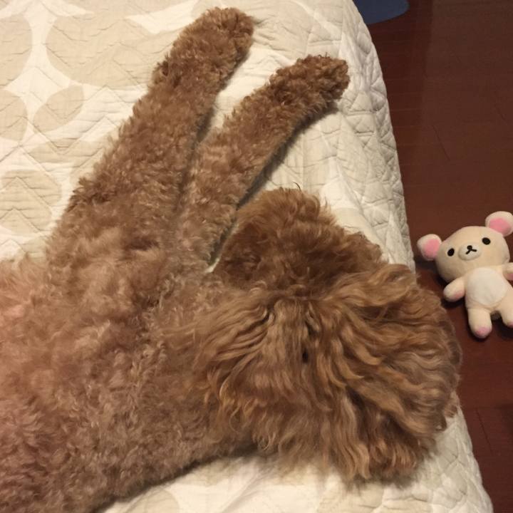 D7837c8c c769 4cf5 a079 26f3c41f3b14