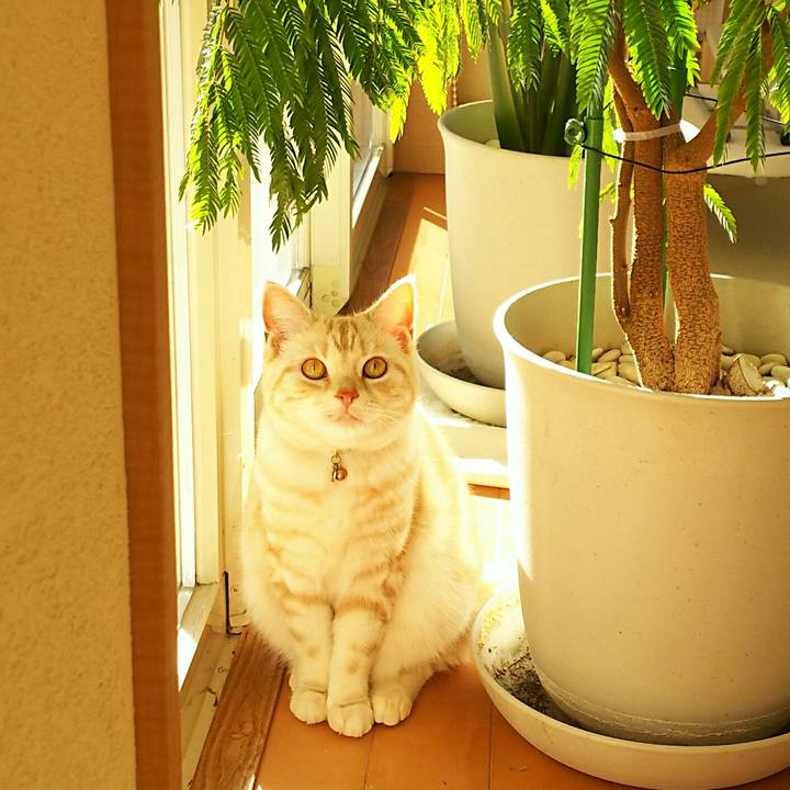 D783aca7 00a2 4817 abb2 1cccacb66f50