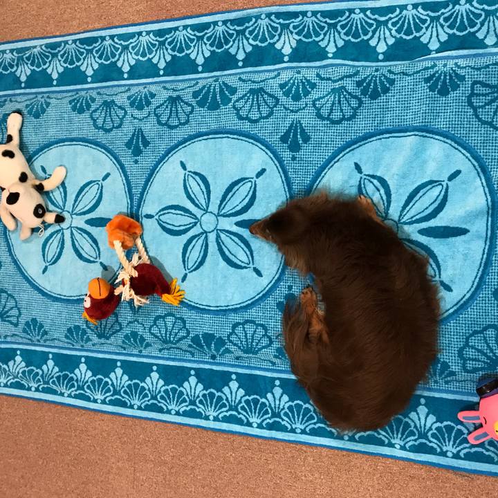 D783c4ba 4017 4ab0 8612 36d60d5ad9d0