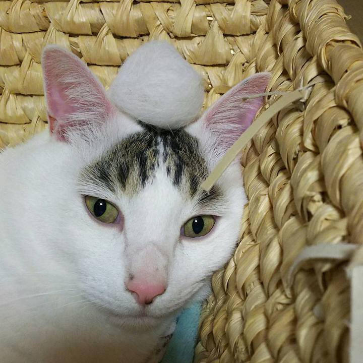 D784029f 3770 45b1 a7d4 2bdbc54e5521