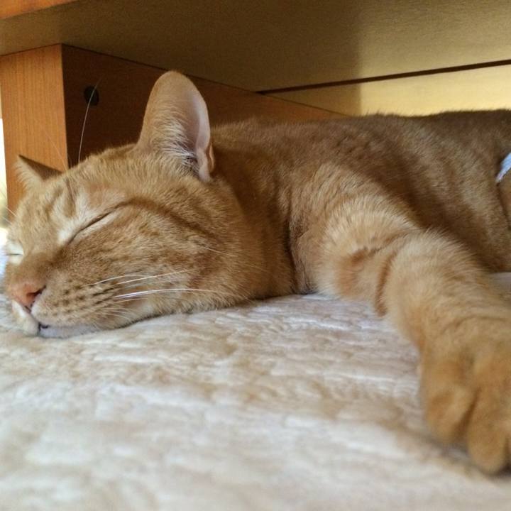 D78406dd 0e61 49ac 8d94 607241557a68