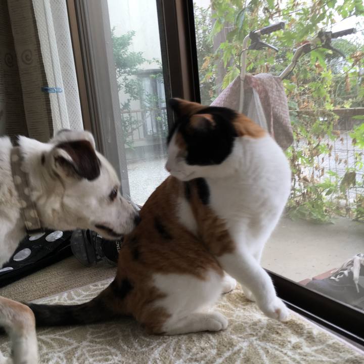 D7843f43 ff1a 48d0 aef5 44d71342d927