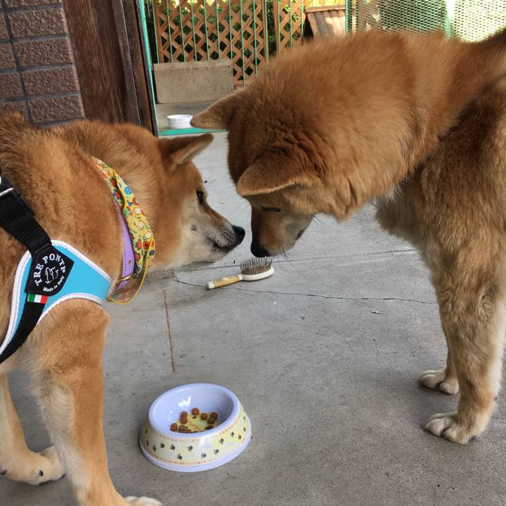 D784483e f487 4ec7 b0e0 cf488e3ed55f