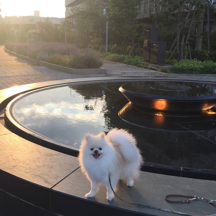 D7844a47 99a6 4b70 bb2b 97635d37f391