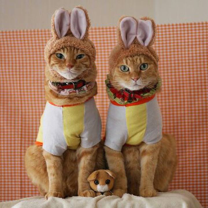 D7845775 2c34 4c3c ab56 0f10491c57d0