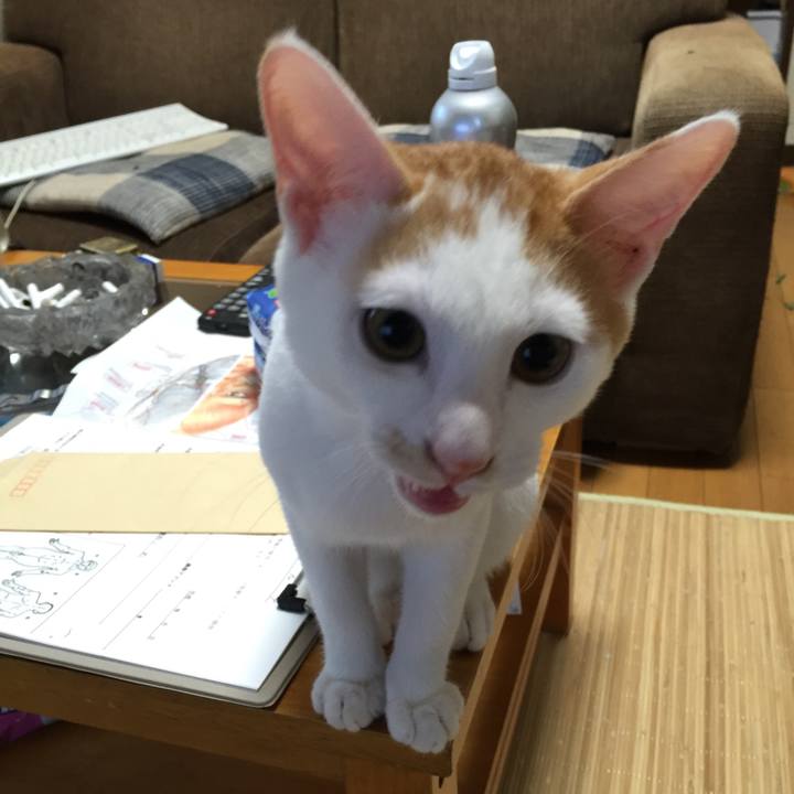 D78474cd 9d48 4039 943c bd0792ce773b