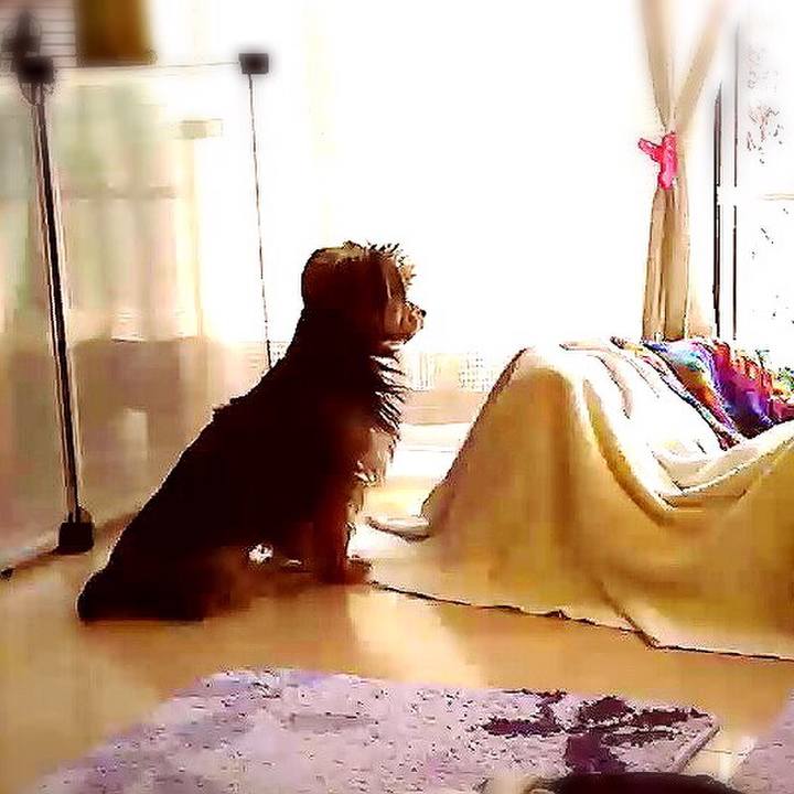 D784c4cf 9357 4bea 8cce cb9c628d32d4