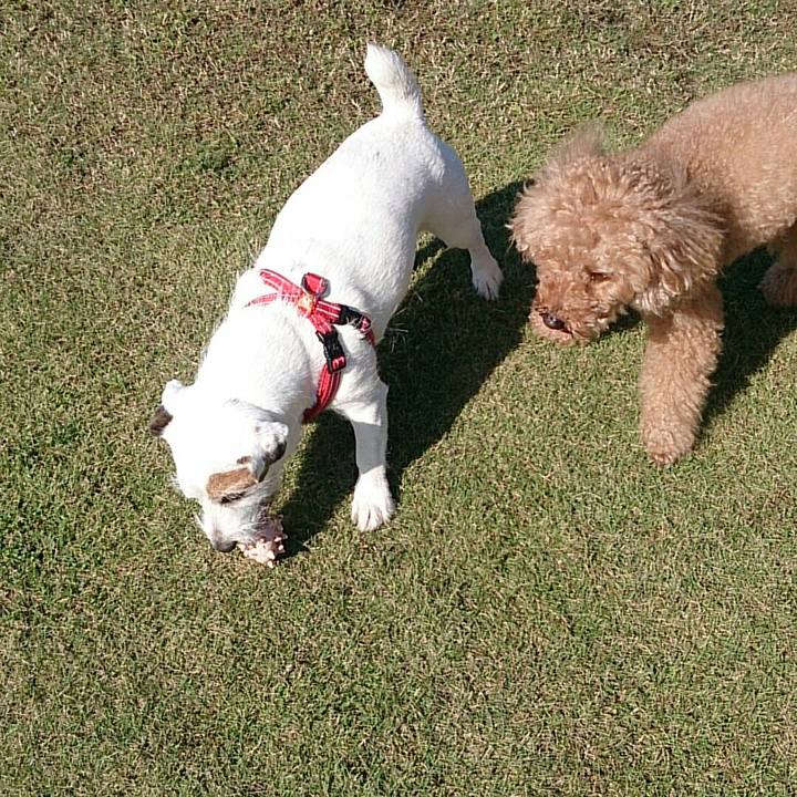 D7856ae2 0750 4a12 8fc4 529fae267f16