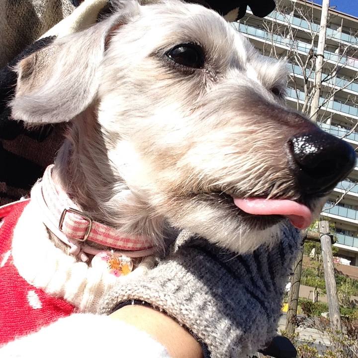 D785c9a9 c485 4561 9e57 465b1326a97a