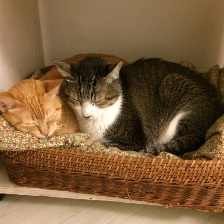 D7872d09 b856 447d bd1b 4c6770fee885