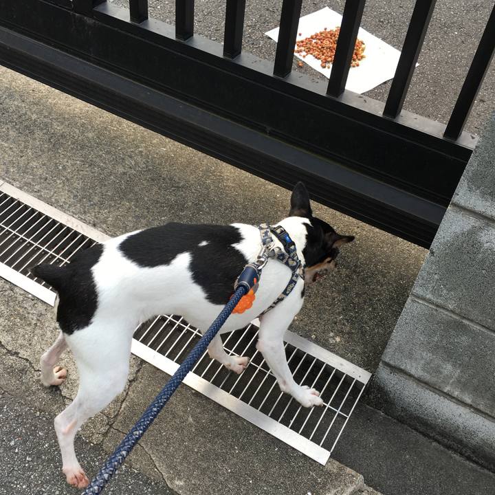 D7879982 bb36 4c29 a133 420a3a20f007